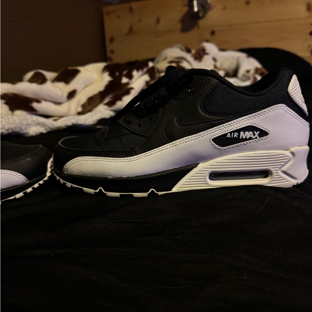 Nike Air Max Black and White Shoes